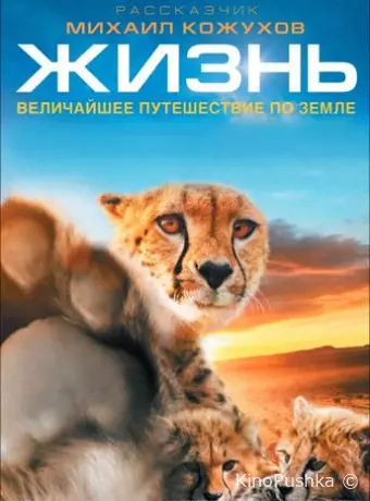 Жизнь